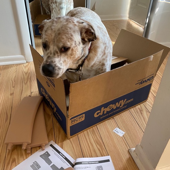 Meet your Posh Ambassador, Michaelina - Picture 9 of 11